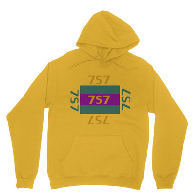 T-Shirts N Things Heavy Blend Hooded Sweatshirt